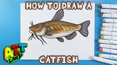 catfish drawing easy|How to DRAW a CATFISH Easy Step by Step